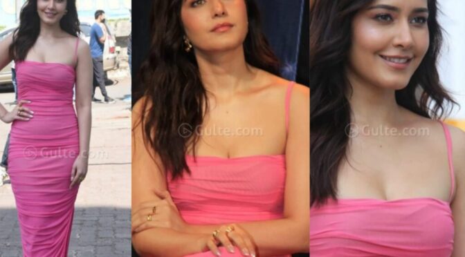 Raashi Khanna looking stunning in pink dress at ” Rudra ” Trailer launch event!