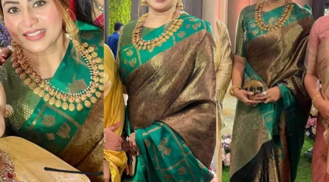 Sangita krish in traditional silk saree at a recent wedding!
