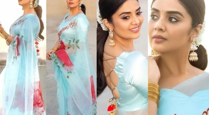 Sreemukhi in a hand painted Organza saree for Ugadi event!