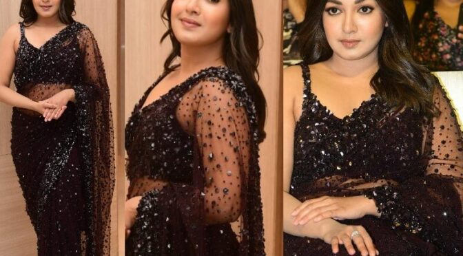 Catherine Tresa in a tulle saree at “Bala Thandanana” pre-release event!