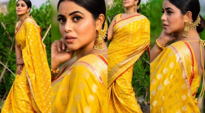 Purnaa stuns in a yellow silk saree!