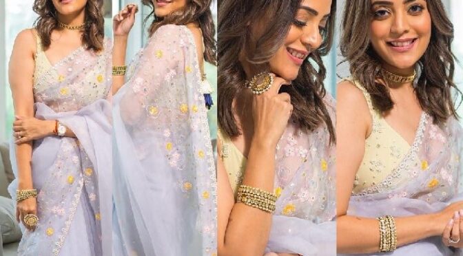 Nisha Aggarwal looks pretty in an organza saree !