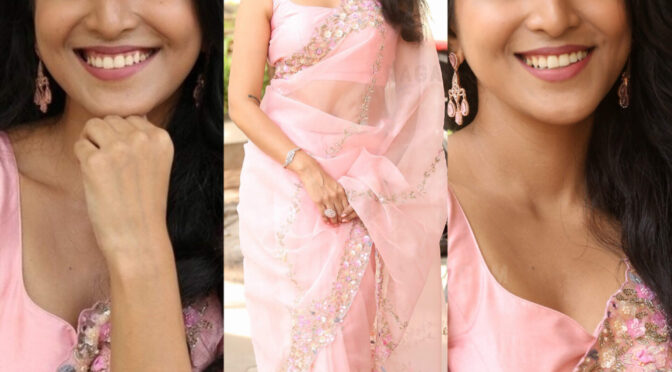Apoorva looks pretty in a pink saree at Happy ending teaser launch event!